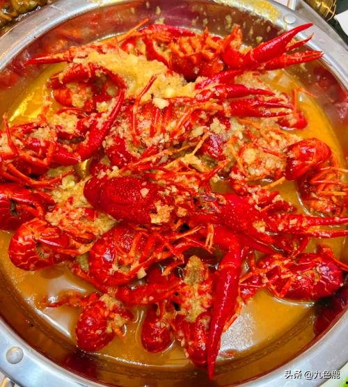 头条小龙虾爆料视频下载,头条视频爆料背后的真相与争议