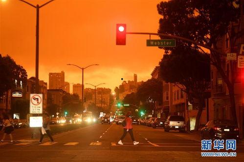 夜夜插在线观看,揭秘激情四溢的深夜直播奇遇